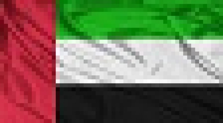 UAE flag